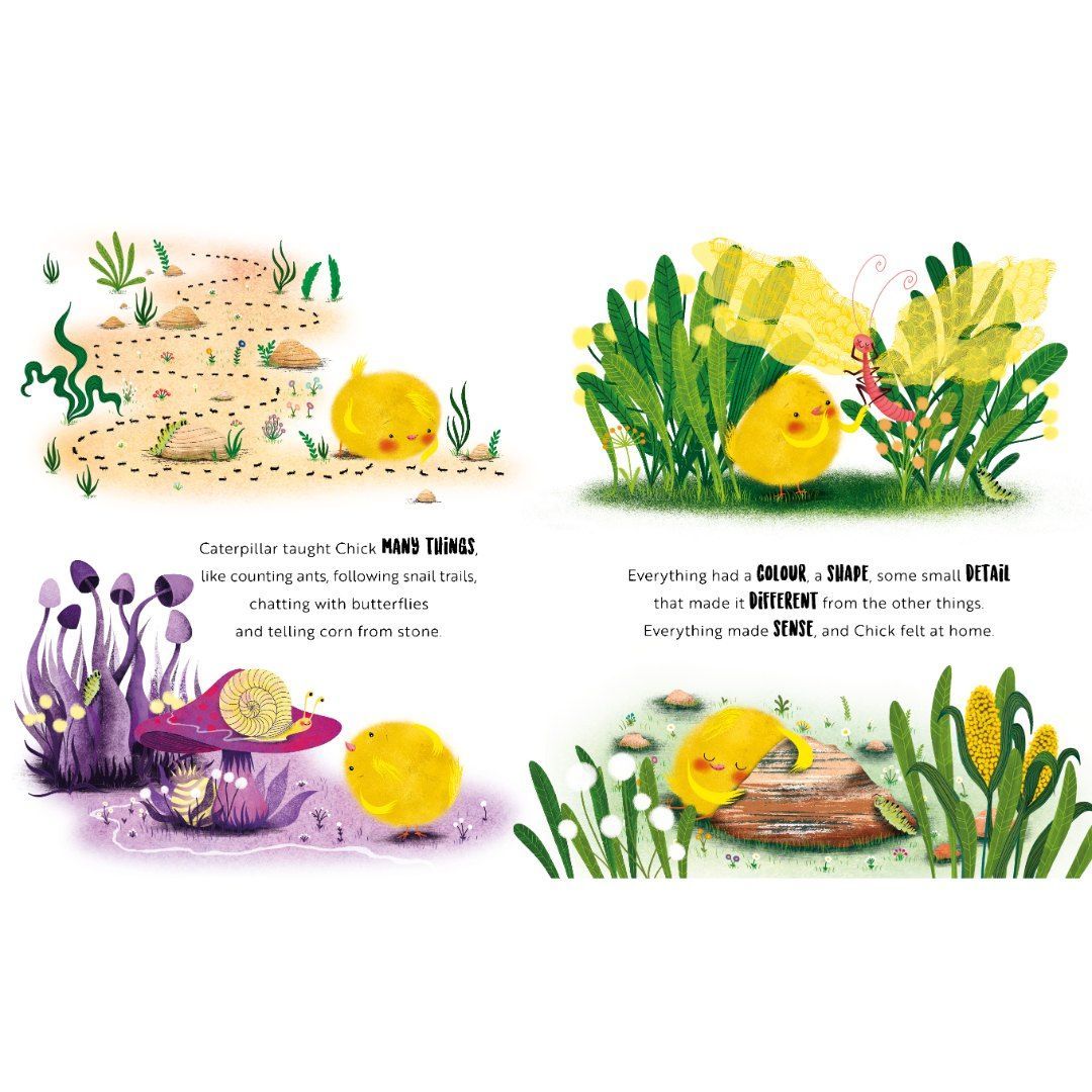 Sassi - Picture Book | Happy As A Chick